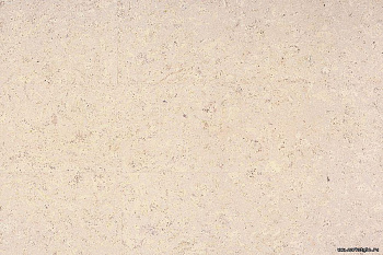 Клеевой пробковый пол  CORKWISE Madeira White
