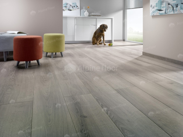 Ламинат Homflor Внутренний дворик Баланс (Patio Medium) Durban 437