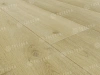 Alpine floor TULESNA Премиум (Premium) ламинат Modesto 1004-301