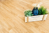 Кварцвиниловая плитка Alpine Floor ECO 6-4 Секвойя (Sequoia) (SPC или LVT) Royal