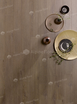 Ламинат Homflor Внутренний дворик (Patio) Olbia Oak 560
