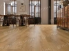 Alpine floor TULESNA Премиум (Premium) ламинат Ande 1004-1701