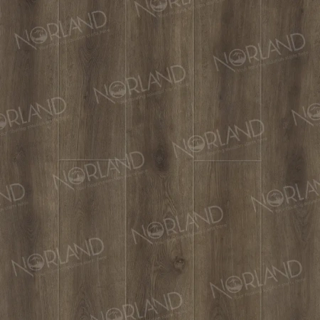 Камено-полимерный ламинат SPC PRO Alpine Floor NeoWood 2001-10 Utla