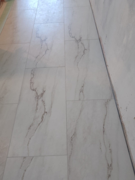 Кварцвиниловая плитка Alpine Floor Минеральный камень (Stone Mineral Core) Брайс ЕСО 4-20