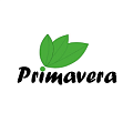 Английская Елка Primavera Английская Елка Primavera