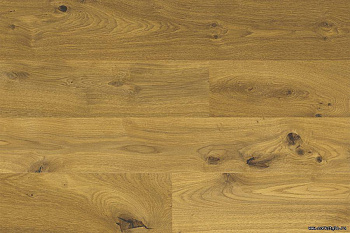 Пробковый пол Wood XL (замок) Oak Knotty