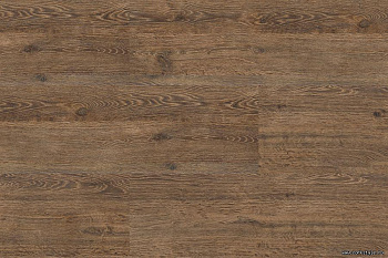 Пробковый пол с фотопечатью WOOD (замок) Oak Brushed