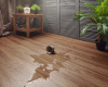 Клеевая виниловая плитка Aquafloor Настоящее дерево клеевой (RealWood Glue) AF6051 Glue