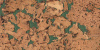 Настенная пробка Wall Design Monte Green